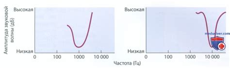 Глиальный ряд и нейронная активность