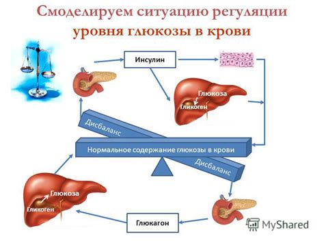 Гликоген в регуляции гормонального баланса