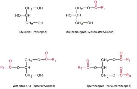 Глицериды