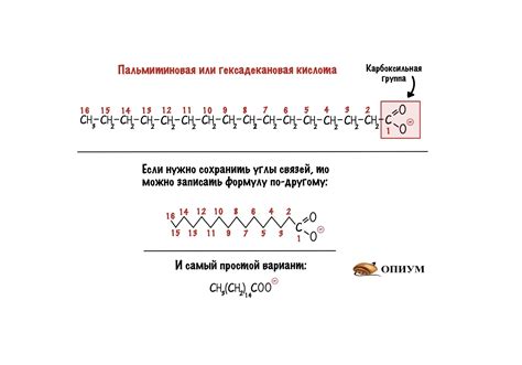 Глицериды жирных кислот: определение и классификация