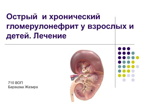 Гломерулонефрит у взрослых