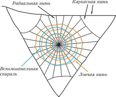 Глубинные значения и скрытые послания, заложенные в замысловатые нити мистической паутины