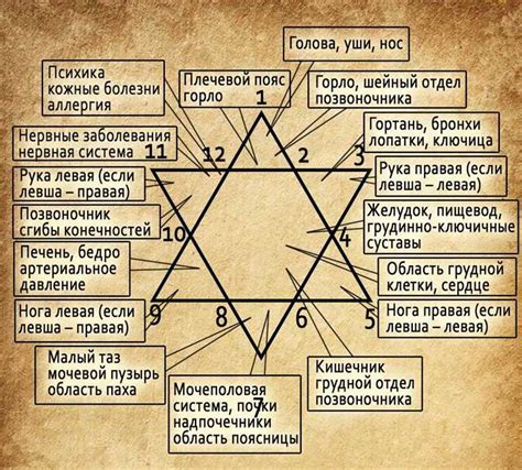 Глубинные тайны сновидений: Интерпретация символики быка