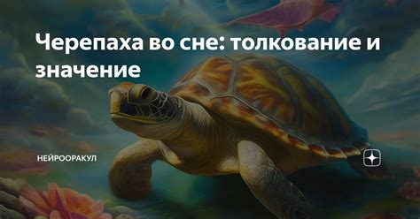 Глубокое смысловое значение видения: черепаха без брони во сне как символ духовной силы и ранимости женщины