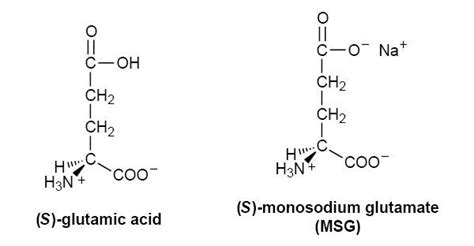 Глутамин и глутамат: различия и важная информация