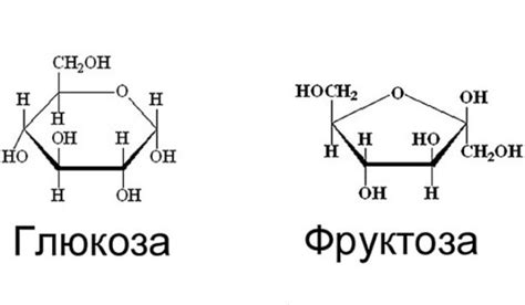 Глюкоза, сахароза, фруктоза: различия и влияние на организм