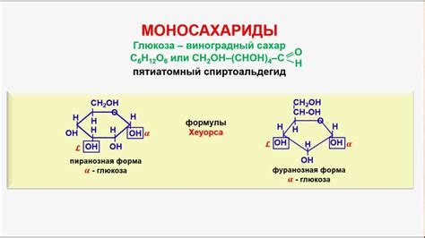 Глюкоза: основные факты о питательном веществе