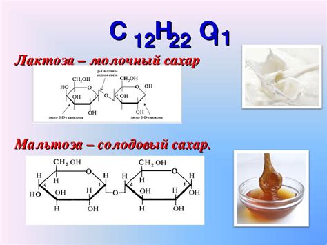 Глюкоза и лактоза: различия и свойства