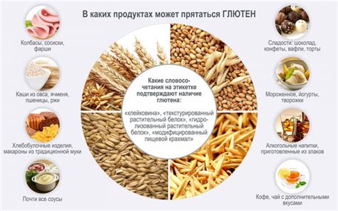 Глютеносодержащие злаки: важность для здоровья и организма