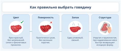 Говядина жилованная и ее польза для здоровья