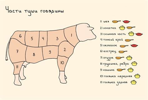 Говядина подбедерок: основные характеристики