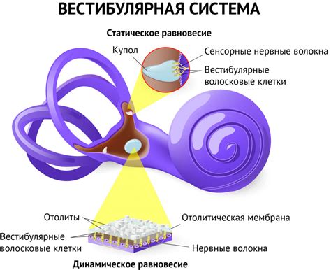 Головокружение: причины и способы облегчения