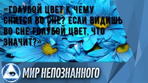 Голубой сумрак во сне: пророчество или всего лишь оттенок?