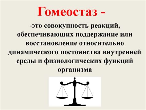 Гомеостаз в медицине: исследование и принципы