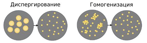 Гомогенизация: процесс и принцип