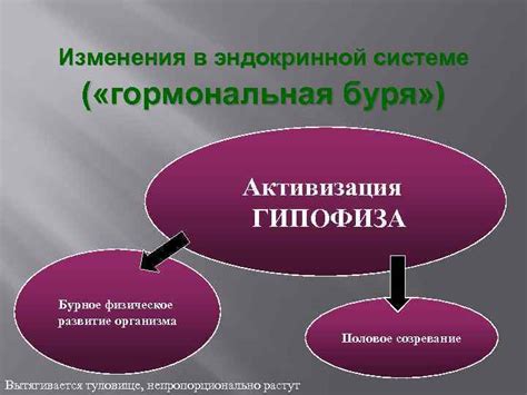 Гормональная стимуляция и физическое развитие организма