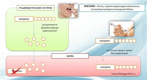 Гормональные причины низкого инсулина