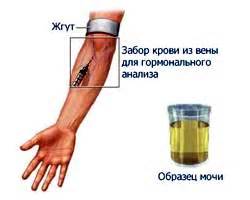 Гормональный анализ крови: информация о работе эндокринной системы