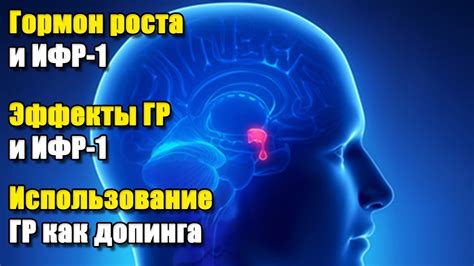 Гормон ИФР-1 и его влияние на организм женщин