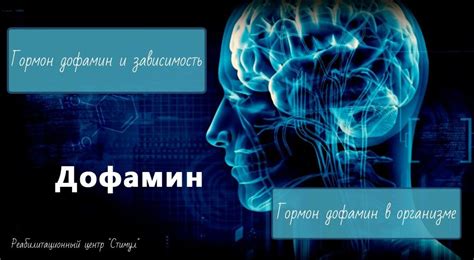 Гормон дофамин: значение, функции и пути увеличения уровня в организме