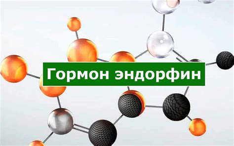 Гормон эндорфин: зачем нужен и как влияет на мужчин?