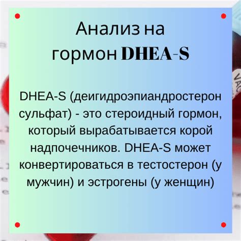 Гормон DHEA-S: его важная функция у женщин и воздействие на организм