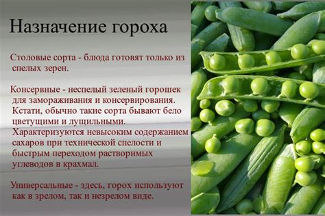 Горох мозговых сортов: особенности, преимущества и варианты использования