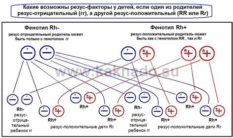 Горячая кровь: наследственность и эволюция