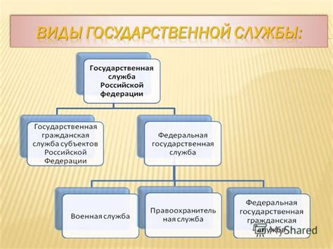 Государственная служба: роль и сферы деятельности