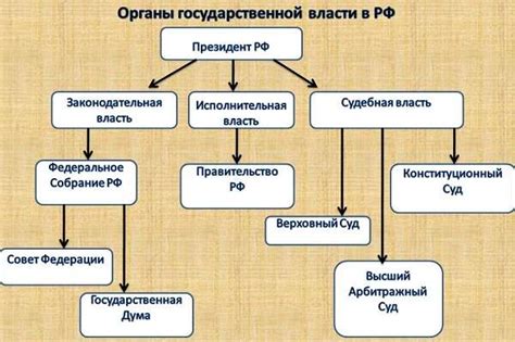 Государственные органы, участвующие в системе