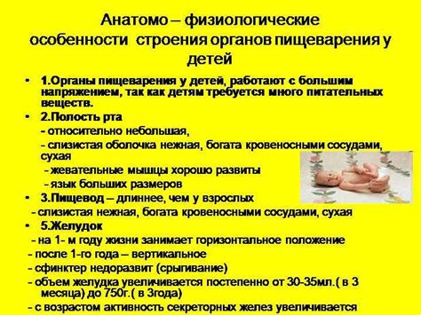 Готовность пищеварительной системы ребенка