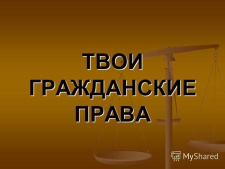 Гражданские свободы и государственная защита прав