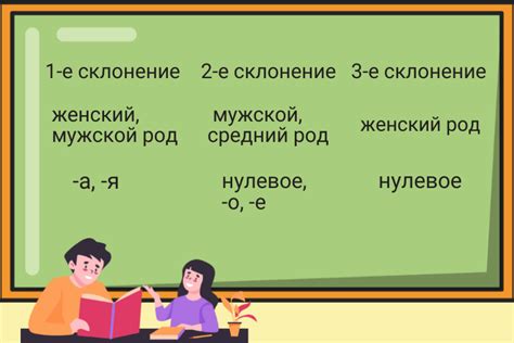 Грамматические особенности и значимость имен существительных