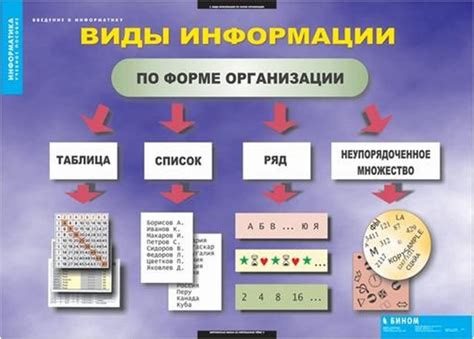 Грамм-плюс палочки: общая информация и их значение