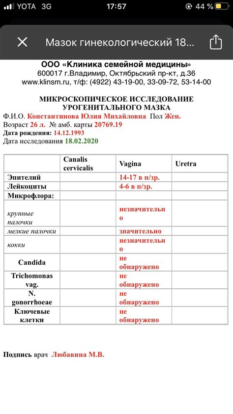 Грамокраска - ключевой этап анализа мазка