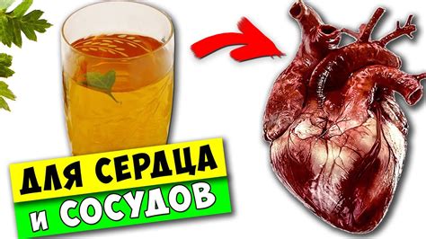 Гранатовый чай для сердца и сосудов