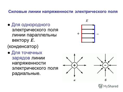 Графическое изображение силовых линий