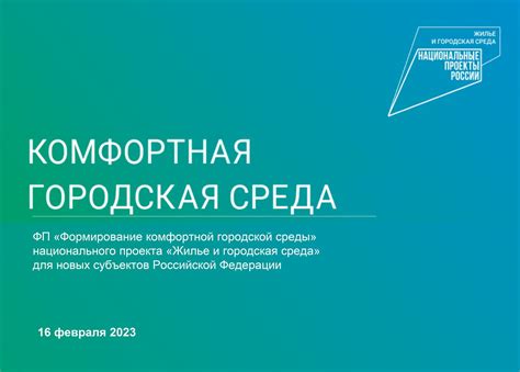 Грач - полезное существо для городской среды