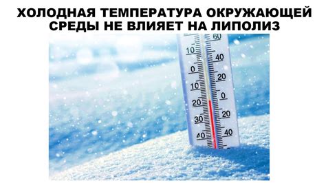 Греть или не греть: какая температура окружающей среды влияет на хрюкание носом?