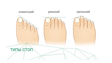 Греческая стопа: определение и характеристики