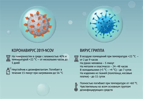 Грипп и вирус: различия и принципы борьбы