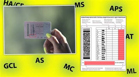 Группа категории GCL в водительском удостоверении