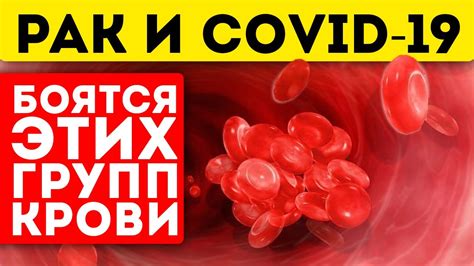 Группа крови A: иммунитет и болезни