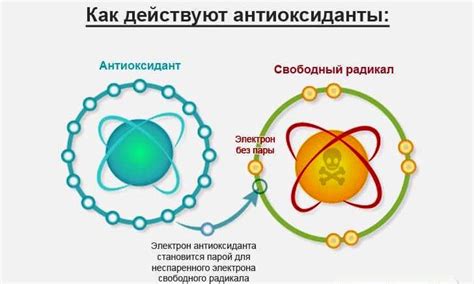 Грязь как антиоксидант