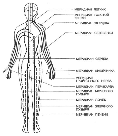 Гуаша массаж: что это такое для тела?