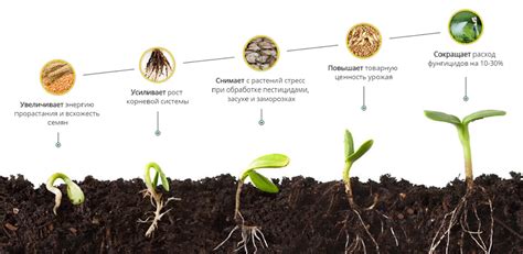 Гумат кальция: сущность, характеристика и полезность