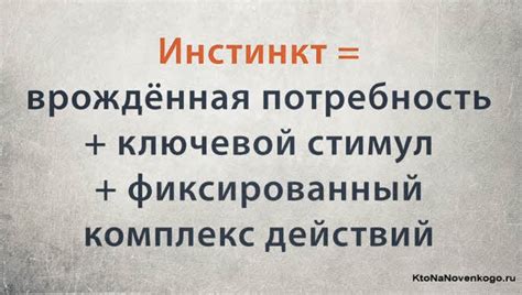 Двигатель нашего поведения: что такое основной инстинкт и как он диктует наши действия