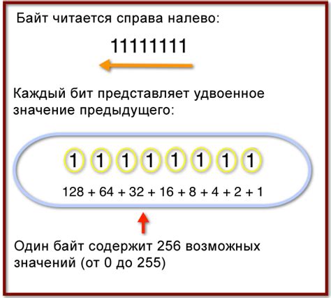 Двоичное представление числа 16