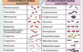 Деградация полиморфизма флоры в мазке