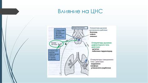 Действие токсических веществ на сердечно-сосудистую систему